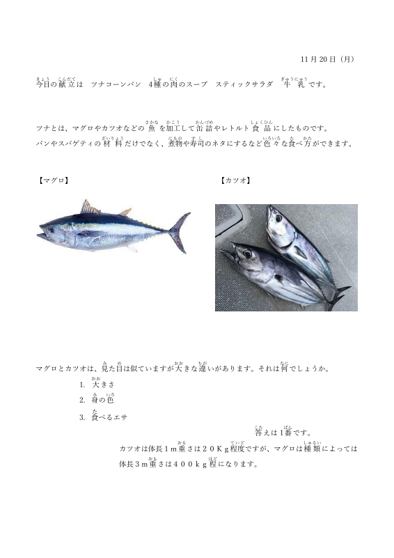 11月20日.pdfの1ページ目のサムネイル