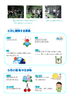 R7年06月日本語学級だより.pdfの2ページ目のサムネイル