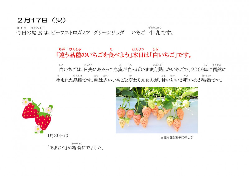 2.17白いちご