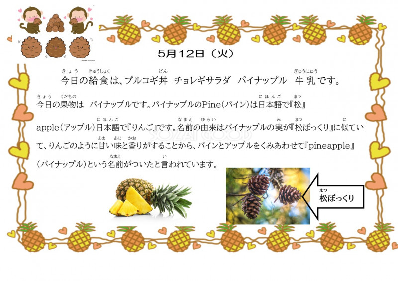 5.12　パイナップル