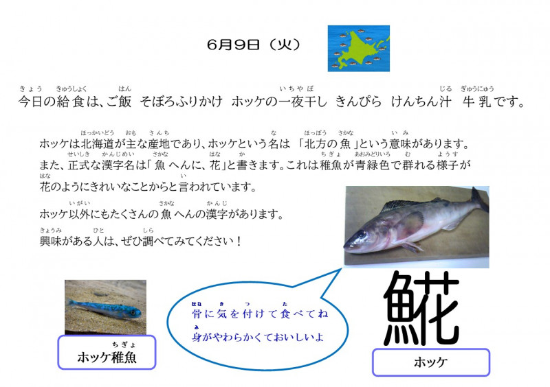 6.9　ほっけ
