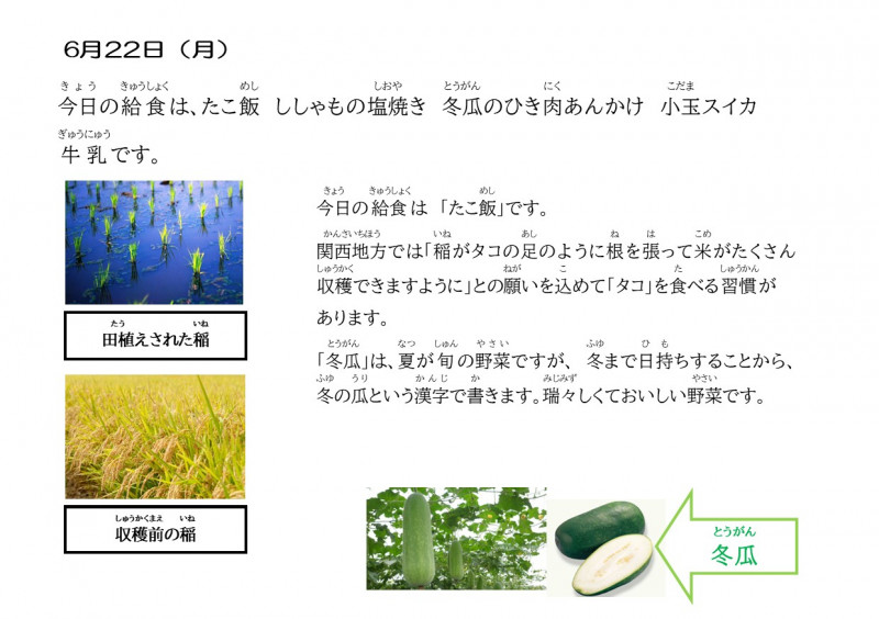 7.20　冬瓜